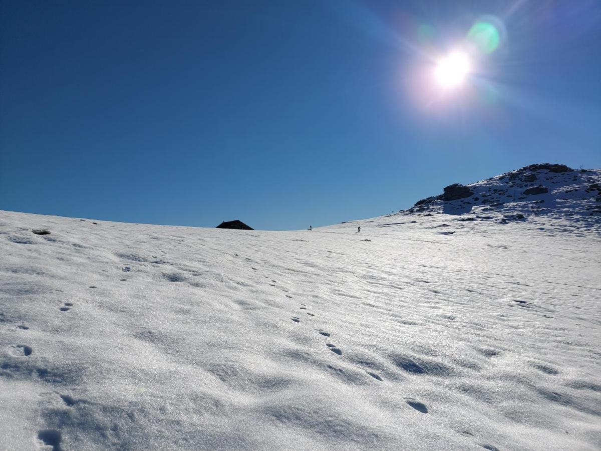 Gran Paradiso Alpette Buitenkant foto