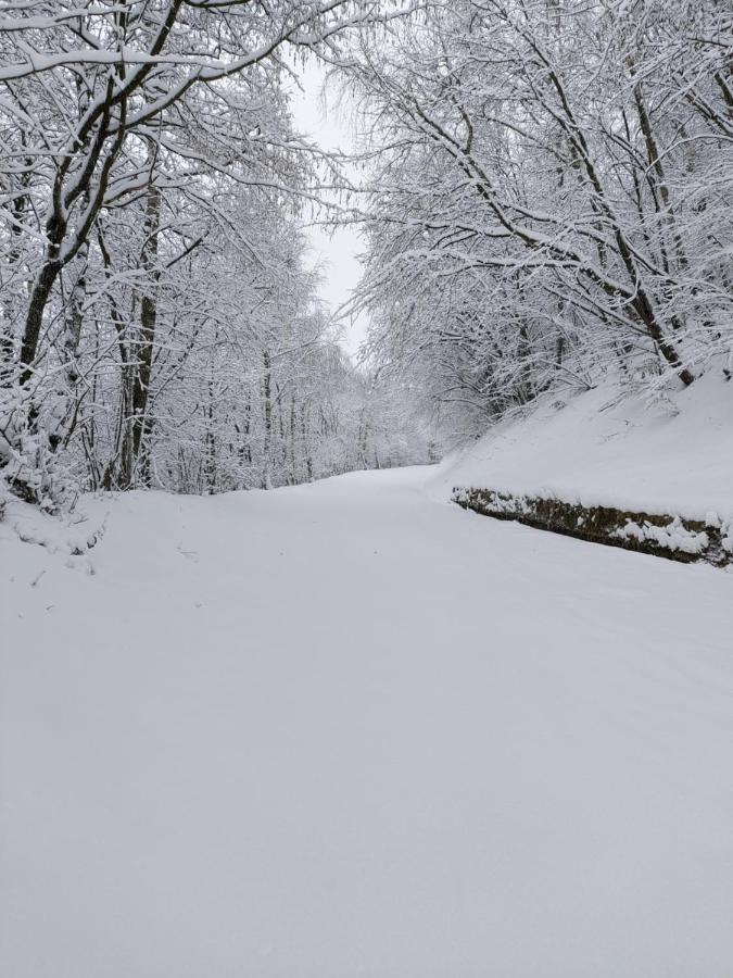 Gran Paradiso Alpette Buitenkant foto