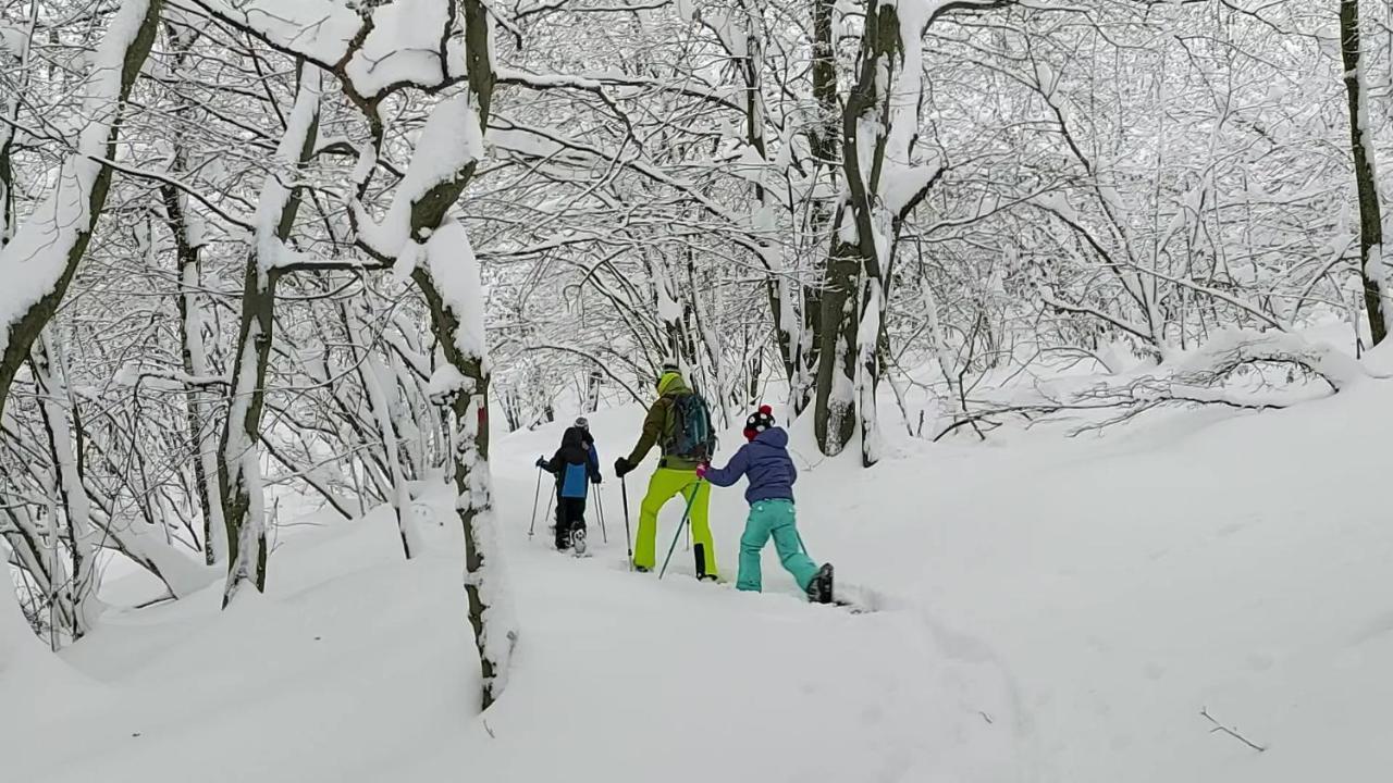Gran Paradiso Alpette Buitenkant foto